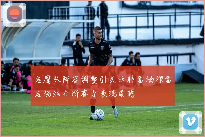 老鹰队阵容调整引关注特雷杨穆雷后场组合新赛季表现前瞻