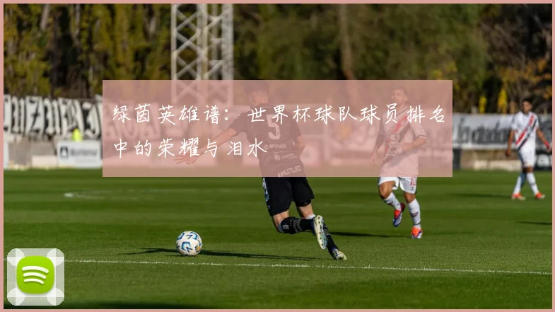 绿茵英雄谱:世界杯球队球员排名中的荣耀与泪水