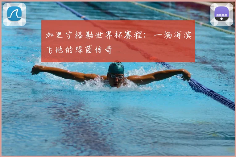 加里宁格勒世界杯赛程：一场海滨飞地的绿茵传奇