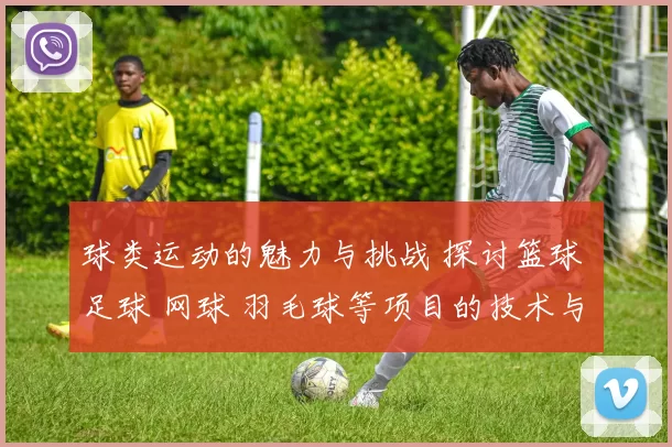 球类运动的魅力与挑战 探讨篮球 足球 网球 羽毛球等项目的技术与战略