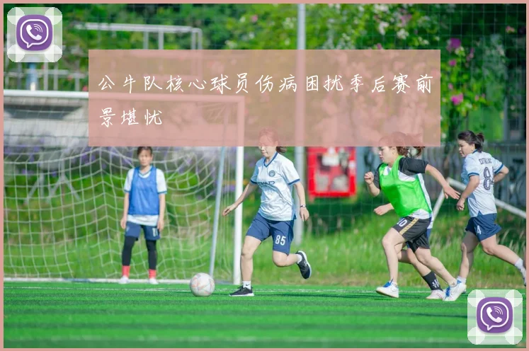 公牛队核心球员伤病困扰季后赛前景堪忧