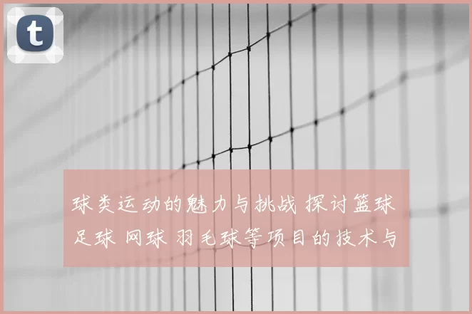球类运动的魅力与挑战 探讨篮球 足球 网球 羽毛球等项目的技术与战略