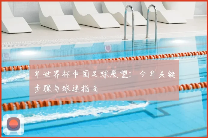 年世界杯中国足球展望:今年关键步骤与球迷指南