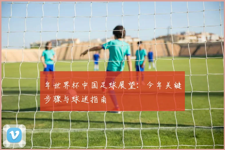 年世界杯中国足球展望：今年关键步骤与球迷指南