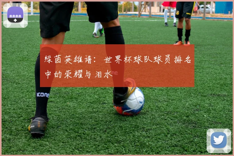 绿茵英雄谱:世界杯球队球员排名中的荣耀与泪水