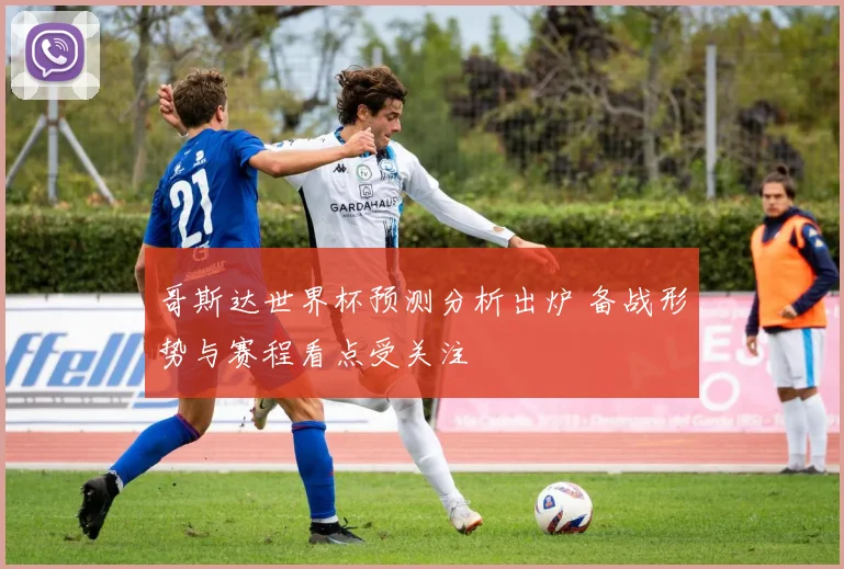 哥斯达世界杯预测分析出炉 备战形势与赛程看点受关注
