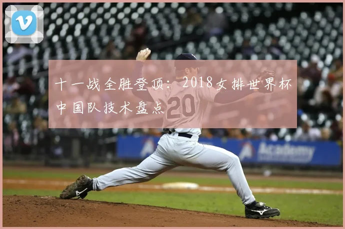 十一战全胜登顶：2018女排世界杯中国队技术盘点
