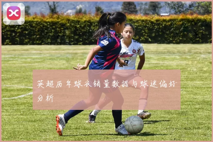 英超历年球衣销量数据与球迷偏好分析