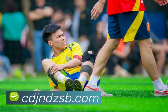 爱游戏官网发展历程