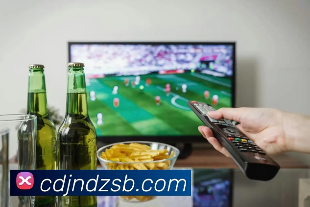 辽宁对阵山东CBA常规赛，两队争夺季后赛席位关键战