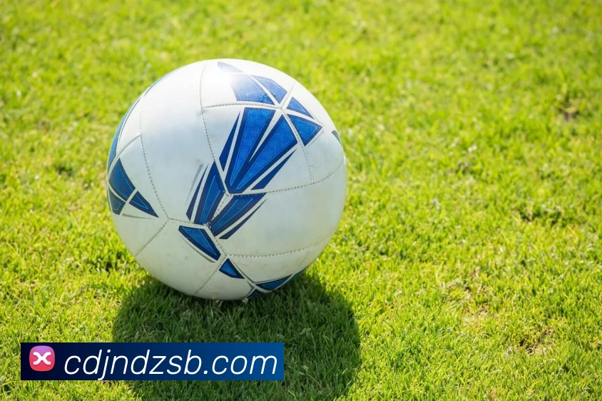 爱游戏官网APP 体育赛事宣传图